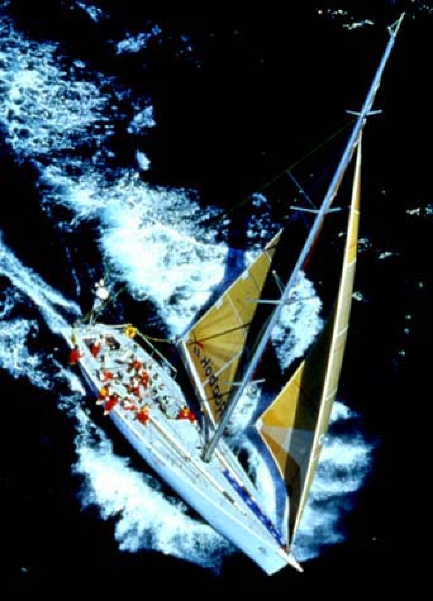 Dolphin 2