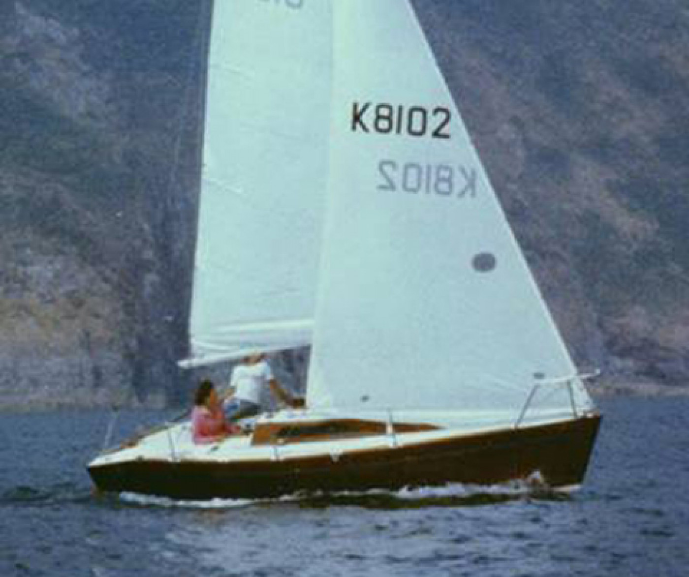 Scoter 2